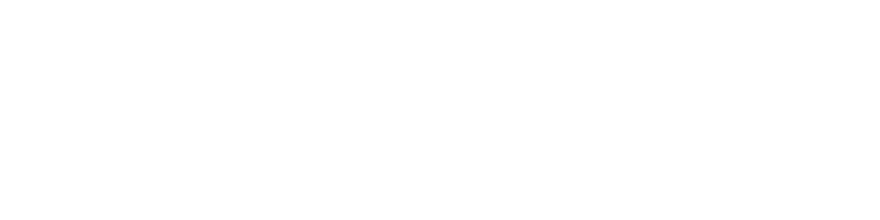 InfoScanImg